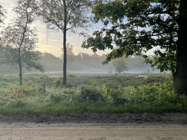 Dag 8
